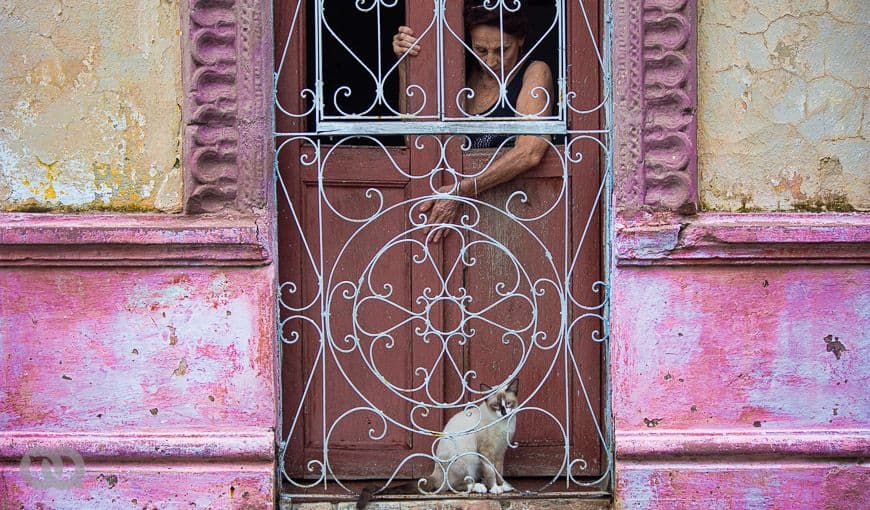 Una señora llama a su gato varias veces antes de desistir.