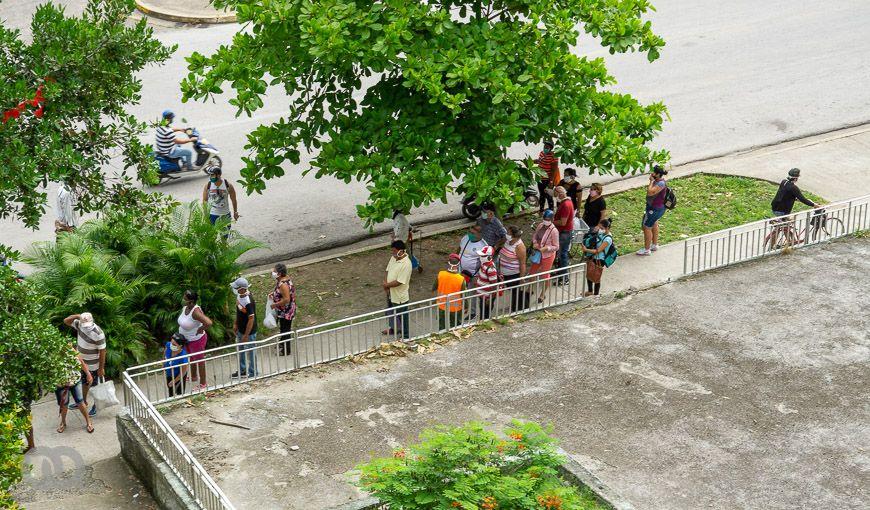 Desde mi ventana podía ver a las personas en la cola, algunas separadas a un metro bajo el sol, otras agrupadas bajo los árboles (Foto: María Isabel Campos Díaz).