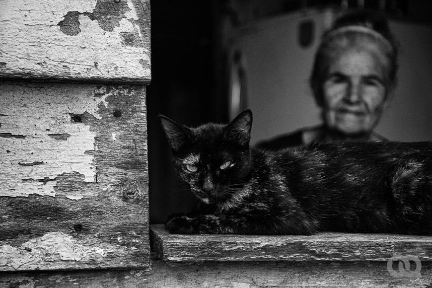 Vida de manos callosas