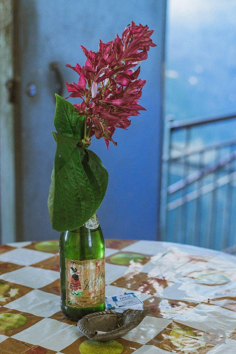 botella flores mesa mantel