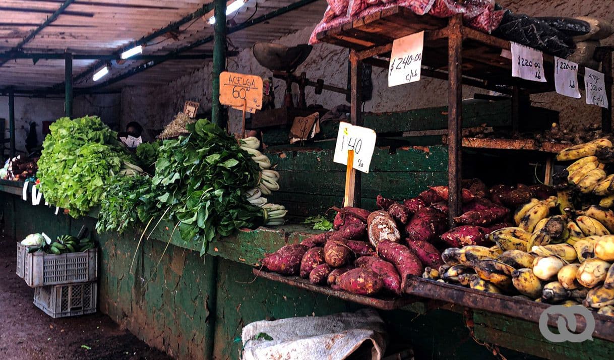 Marktstand in Kuba | Bildquelle: elTOQUE © elTOQUE | Bilder sind in der Regel urheberrechtlich geschützt