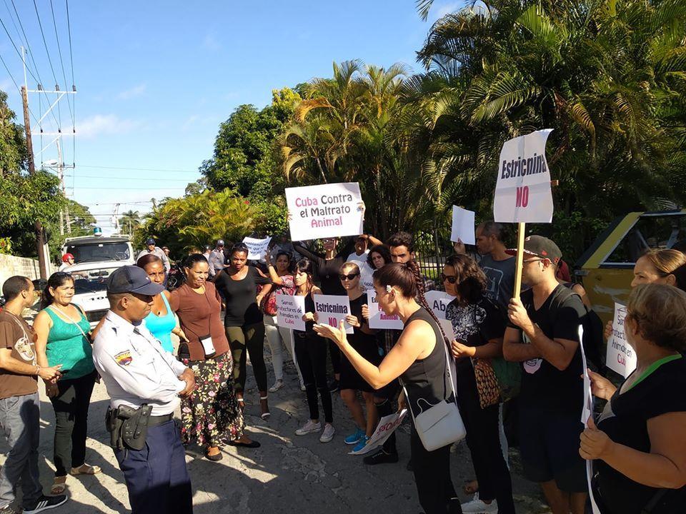Protesta por derechos animales en Cuba. Foto tomada del perfil de la activista Beatriz Batista
