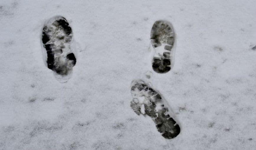 Huellas en la nieve