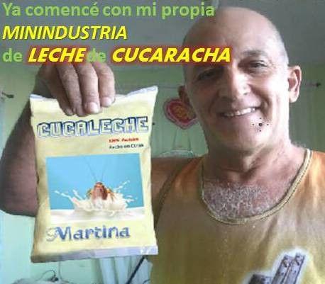 Memes leche de cucaracha Cuba (1)ok.jpg