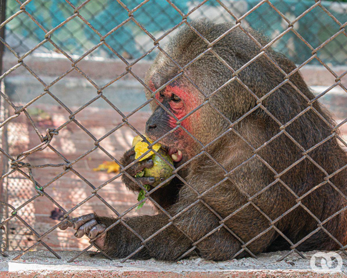 Zoo 26 15.jpg
