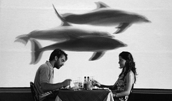 Pareja comiendo, delfines, acuario nacional de Cuba. Caleb Casas y Heidi García en "Personal belongings".