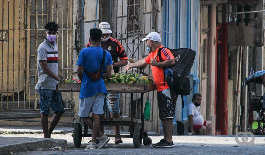 carretilleros en Cuba, agricultura, aguacate, calles de la habana