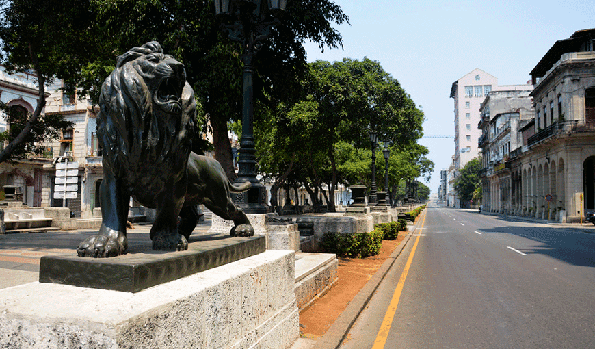 Paseo del Prado, esta vez con sus leones en solitario. Foto: Yailín Alfaro