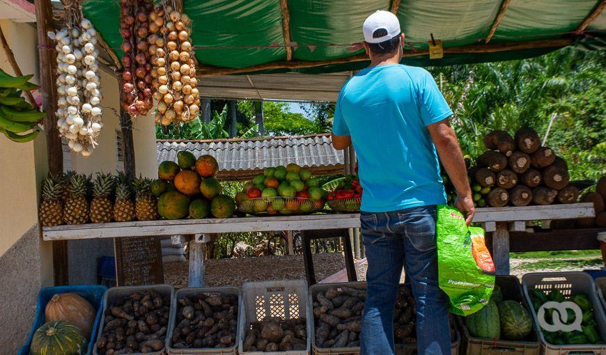 ¿Cómo se alimentan los veganos y vegetarianos en Cuba?