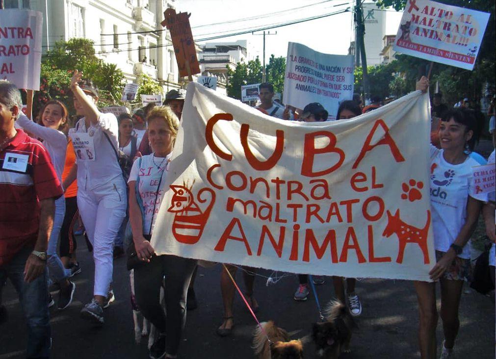 Desde el principio la caminata se convocó bajo el eslogan: Cuba contra el maltrato animal. Foto: Pedro Sosa Tabio.