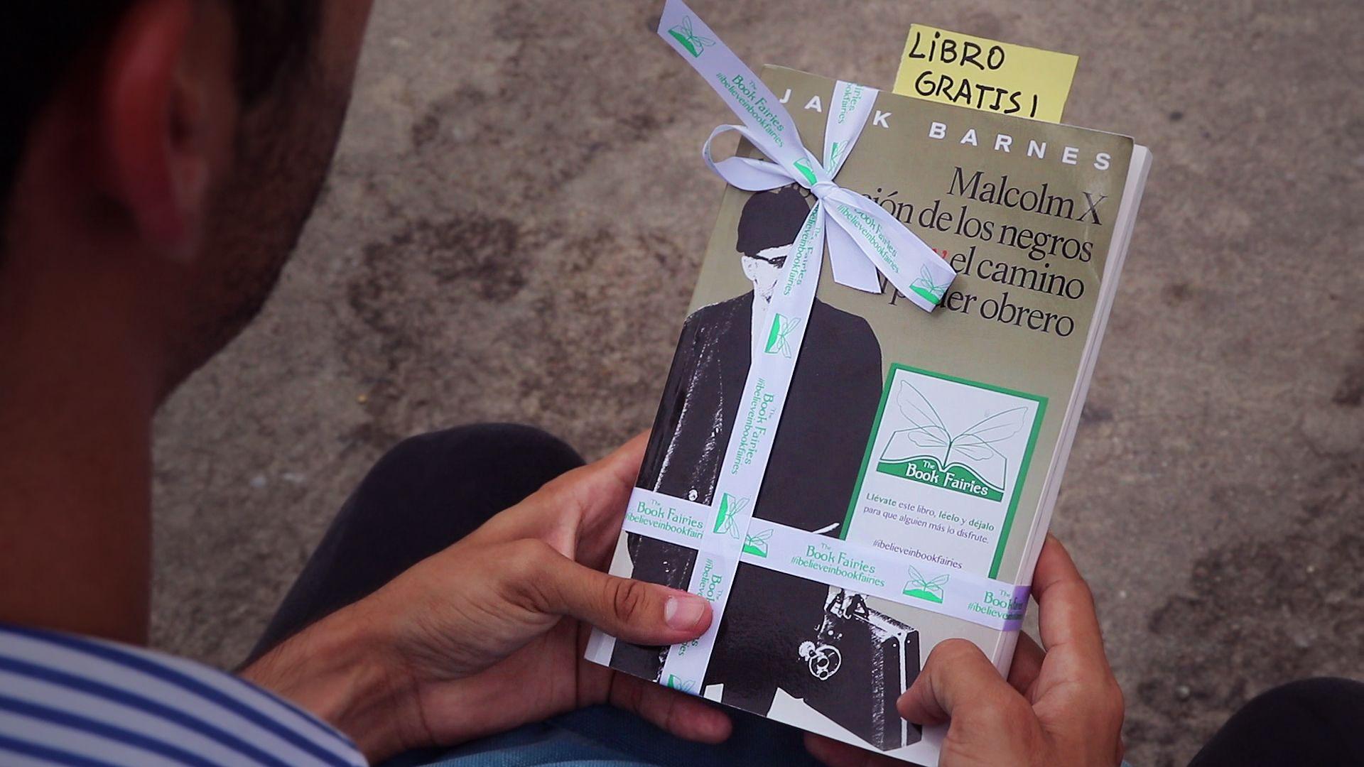 Hadas de los libros en Cuba: un vuelo incompleto