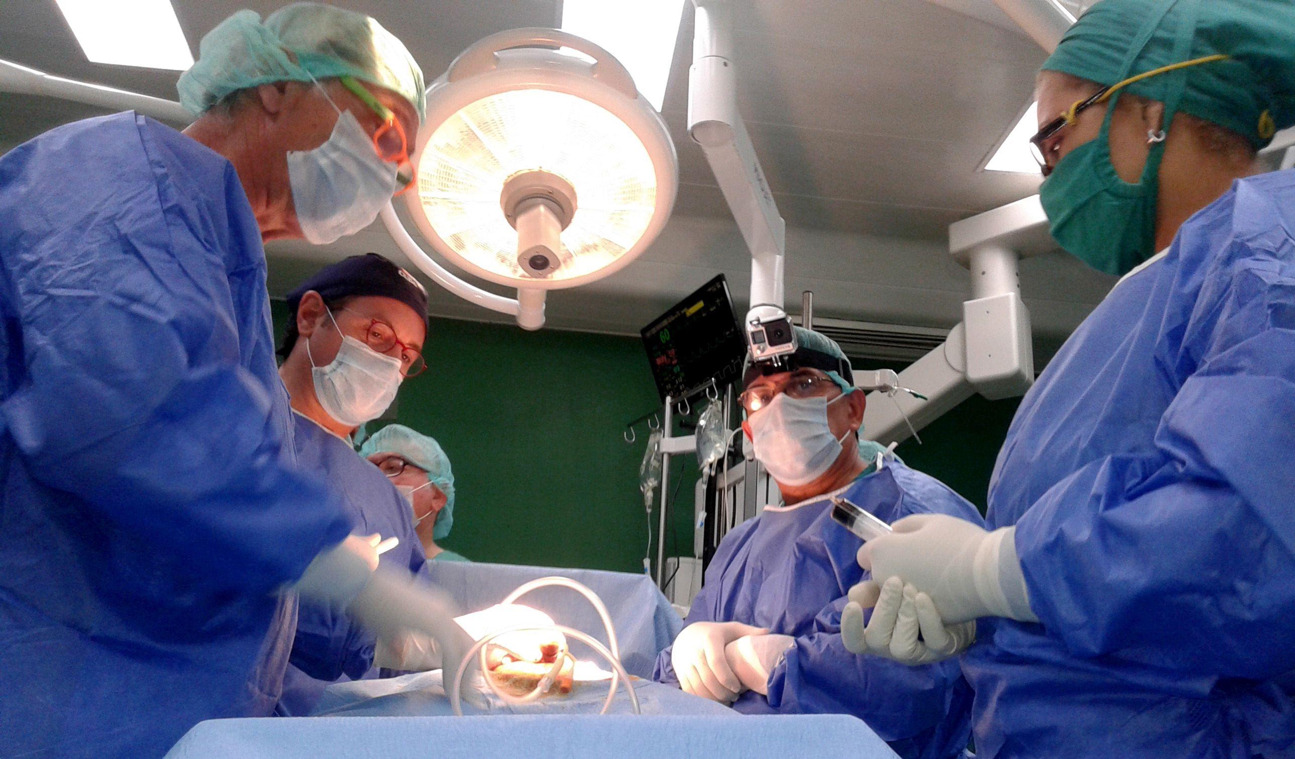 Nuevas operaciones de prótesis de pene: ahora solo para extranjeros