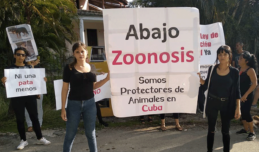 Un grupo de protectores de animales se reunió hoy frente a la sede ded Zoonosis en La Habana. Foto: Tomada del perfil en Facebook de la joven activista Beatriz Batista.