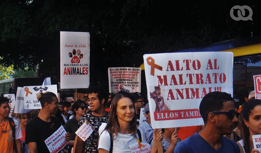 Marcha animalista del 7 de abril de 2019 en La Habana. Foto: Pedro Sosa Tabío.