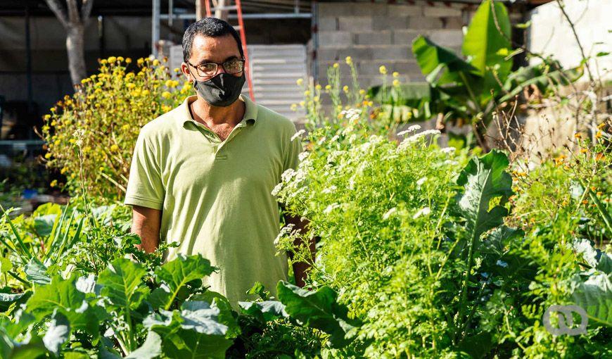 Hombre con espejuelos en jardín, sembrado, vegetales, agricultura urbana en Cuba, estilo de vida. Ricardo. Foto: Ernesto Verdecia.