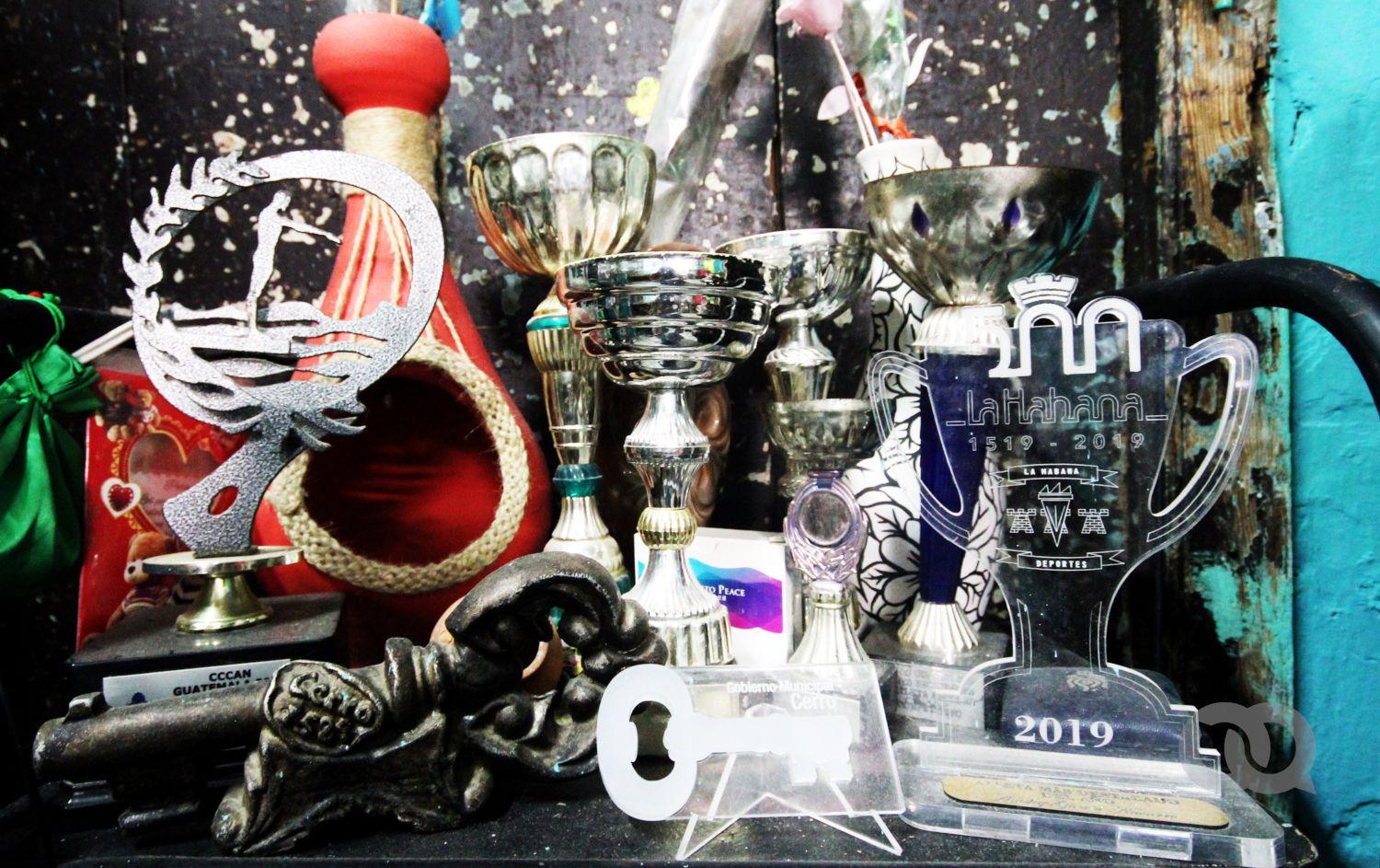 Los trofeos. Foto: Alba León.