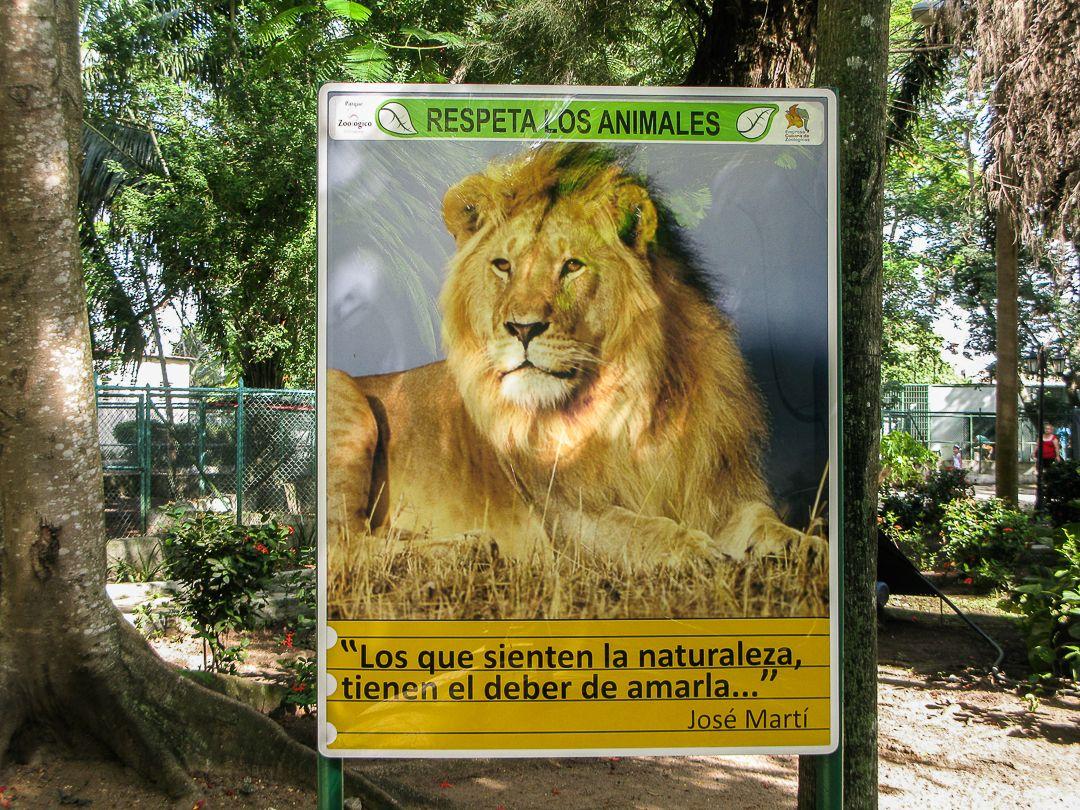 Cartel en el Casino Campestre, lugar donde se ubican los leones del Circo Areíto (Foto: Yoe Suárez).