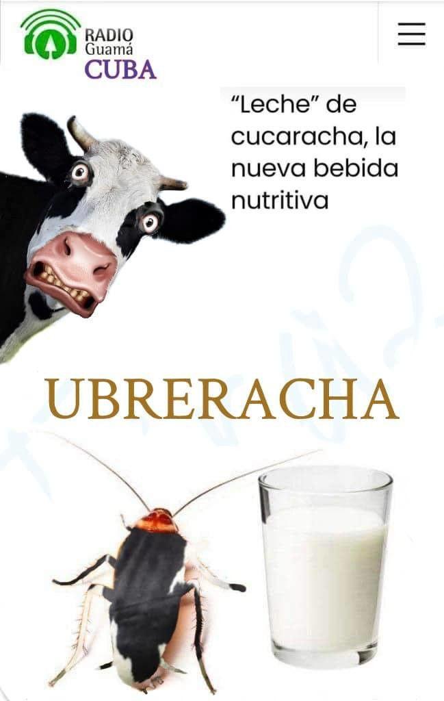 Memes leche de cucaracha Cuba (3)ok.jpg