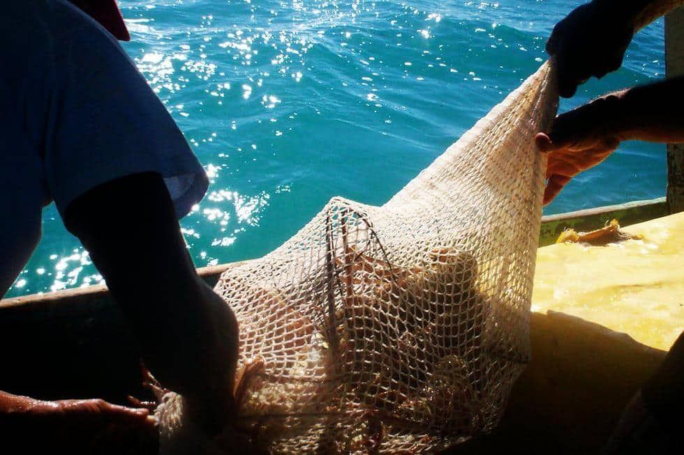 Pesca-Ilegal-Cuba-langosta-Villa-Clara-1.jpg