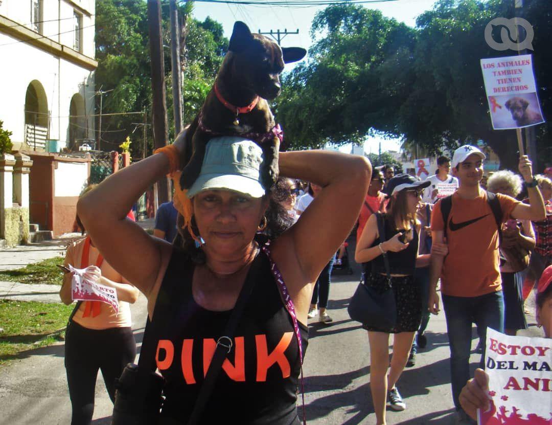 Muchas personas prefirieron llevar en brazos a sus mascotas. Foto: Pedro Sosa Tabio. 