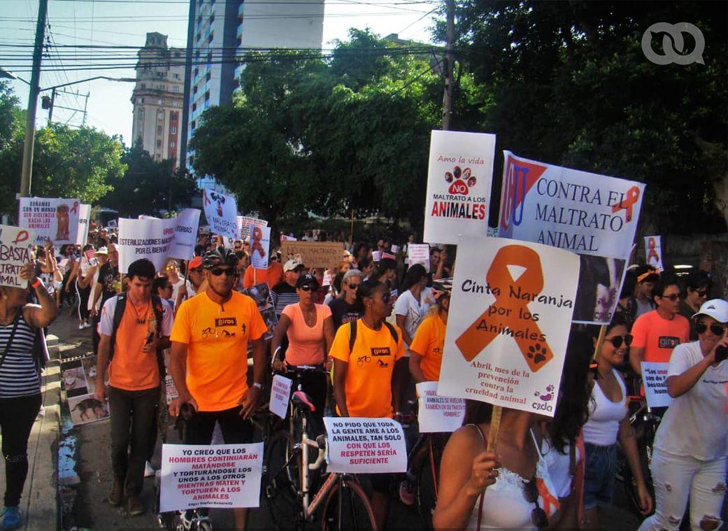 El color naranja (símbolo contra la violencia) fue uno de los predominantes en el evento. Foto: Pedro Sosa Tabio. 