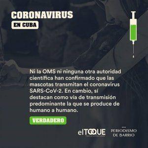 mascotas-y-coronavirus-oms-300x300.jpg