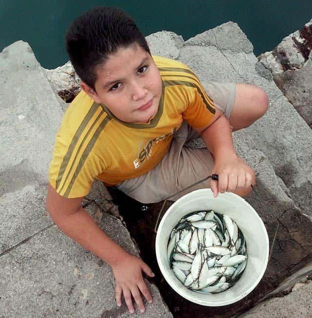 niño-pescador-con-peces-Cuba-infancia.jpg