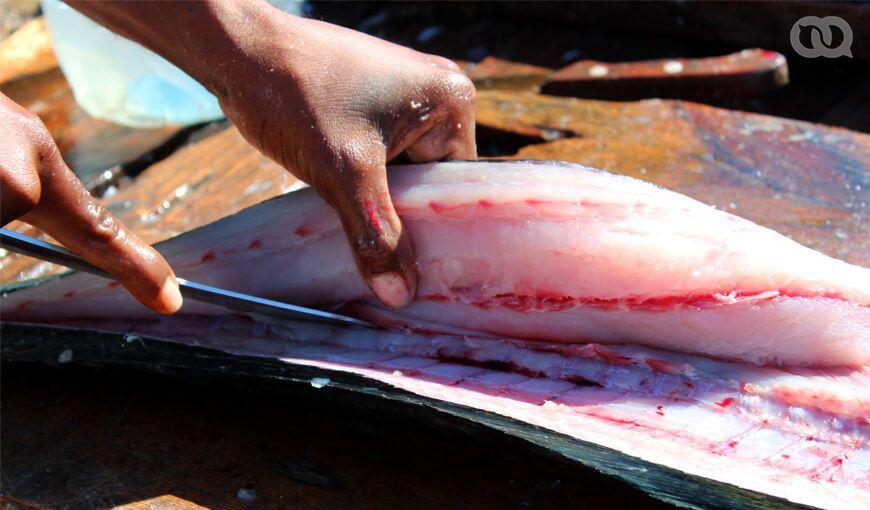 El consumo per cápita anual de pescado en Cuba disminuyó de 16 kilogramos en 1989 a 4,3 kilogramos en 2014. Foto: Henry A. Pérez.