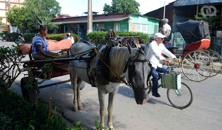 transporte-en-Cuba-alba-leon24.png