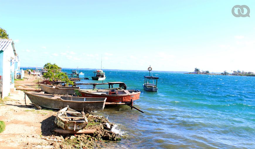 Chinchorros y artículos de pesca Alex